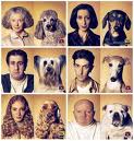 6 perros