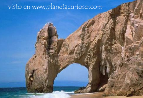Gato piedras